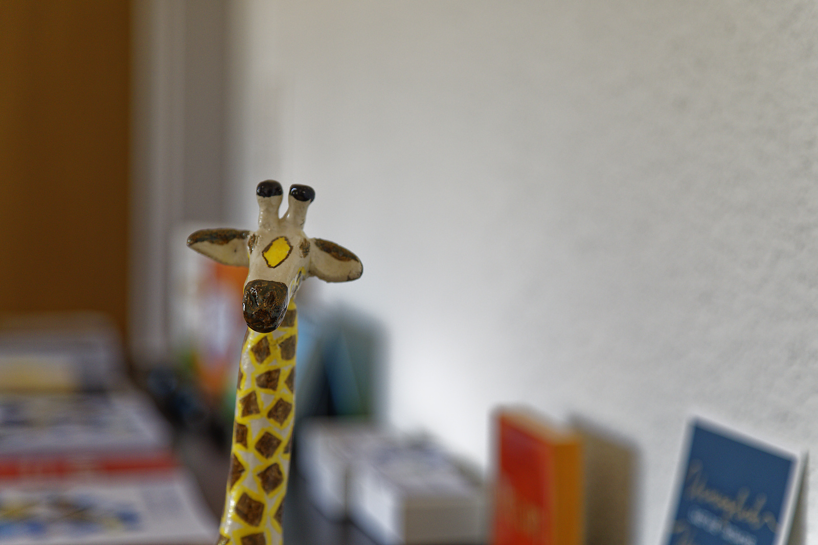 Hannes Hochuli, Coaching & Beratungen